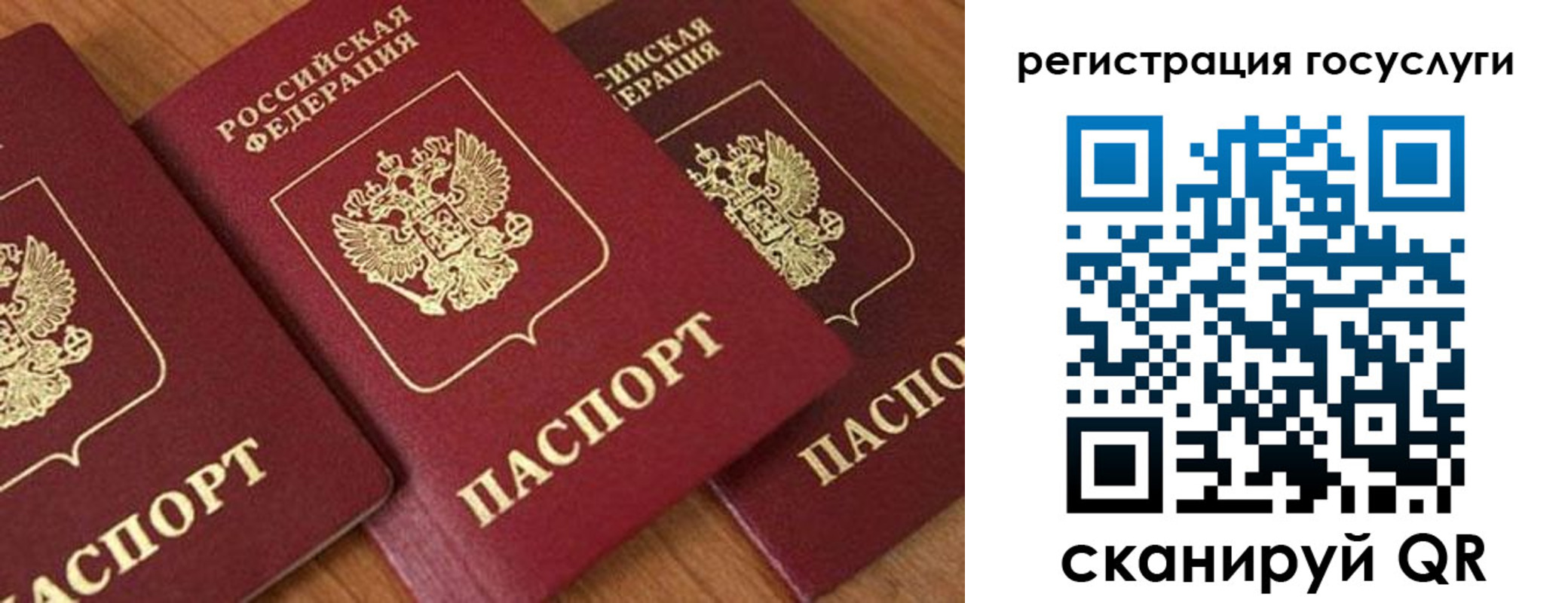 временная регистрация гарантия в Щиграх